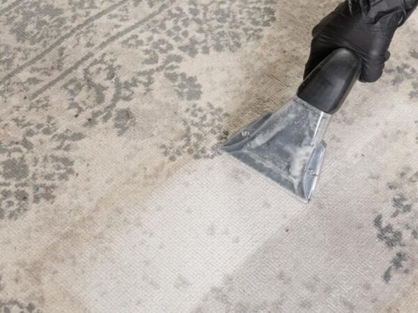 Refresh Your Home With Professional Carpet Cleaning in Detroit, MI